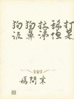 狗狗拉稀打喷嚏流鼻涕但是精神很好