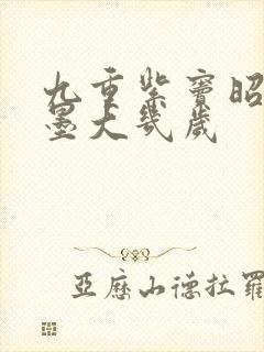 九重紫窦昭比宋墨大几岁封面