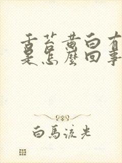 舌苔黄白有齿痕是怎么回事封面