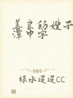 善良的嫂子李采潭中字封面