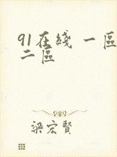 91在线 一区二区