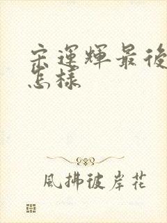 宋运辉最后结局怎样封面