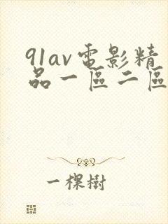 91av电影精品一区二区在线播放