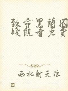 致命黑兰国语在线观看免费完整版