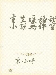 重生暖婚甜入骨小说无弹窗封面