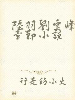 陆羽刘云峰最新章节小说