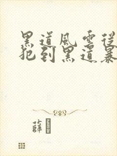黑道风云从劳改犯到黑道暴君小说
