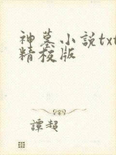 神墓小说txt精校版
