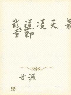 武道凌天 最新章节