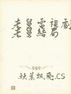 老舅电视剧最后老舅结局