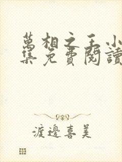 万相之王小说全集免费阅读