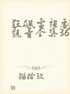 狂飙电视剧免费观看全集36集