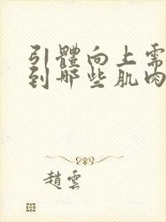 引体向上需要用到哪些肌肉