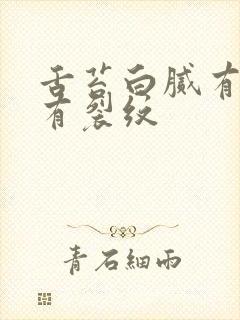 舌苔白腻有齿痕有裂纹