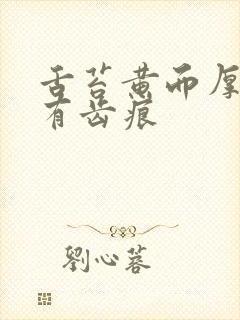 舌苔黄而厚腻并有齿痕