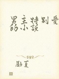 男主特别爱女主的小说