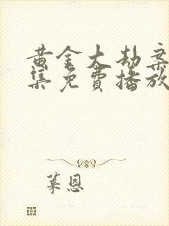 黄金大劫案40集免费播放