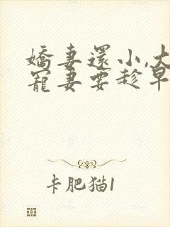 娇妻还小,大叔宠妻要趁早封面