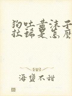 狗吐黄沫子粘液拉稀是怎么回事