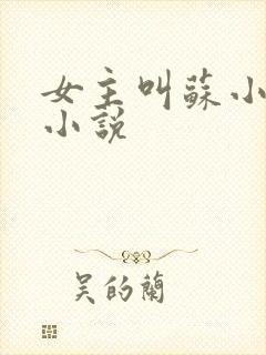 女主叫苏小念的小说