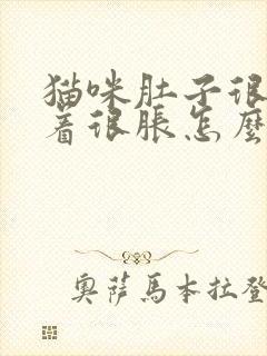 猫咪肚子很大摸着很胀怎么办