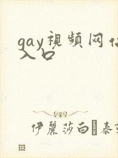 gay视频网站入口