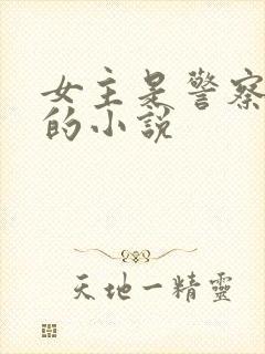 女主是警察卧底的小说封面