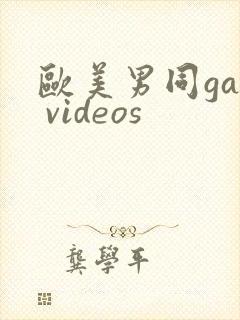 欧美男同gay videos