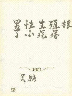 男性生殖根部长了小疙瘩