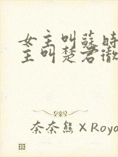 女主叫苏时锦男主叫楚君彻的小说封面