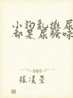 小狗乱撒尿房里都是尿骚味怎么办封面