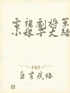 电视剧将军家的小娘子大结局