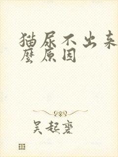 猫尿不出来是什么原因