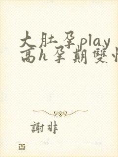 大肚孕play高h孕期双性