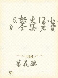 《怒火12小时》全集免费观看