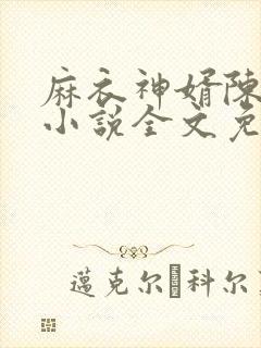 麻衣神婿陈黄皮小说全文免费阅读