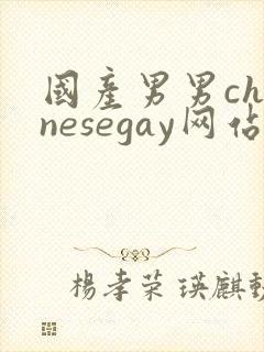 国产男男chinesegay网站