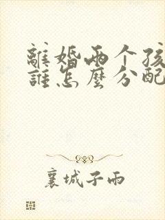 离婚两个孩子归谁怎么分配封面