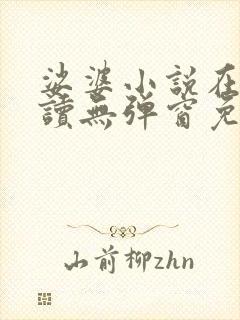 娑婆小说在线阅读无弹窗免费