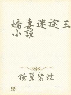 娇妻迷途三部曲小说