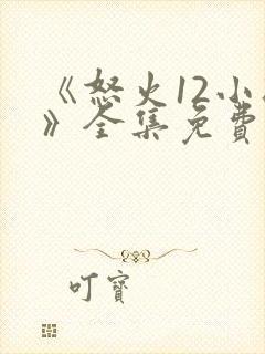 《怒火12小时》全集免费观看