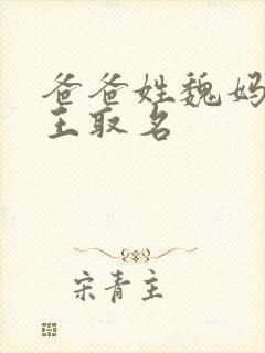 爸爸姓魏妈妈姓王取名