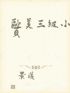 欧美三级小说面页