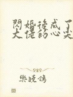 闪婚后成了残疾大佬的心尖宠小说封面