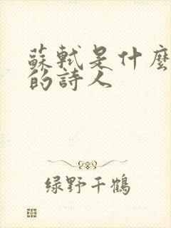 苏轼是什么风格的诗人封面