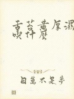 舌苔黄厚湿气重吃什么