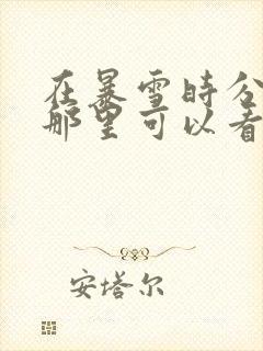 在暴雪时分小说那里可以看