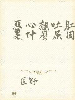 恶心想吐肚子疼是什么原因