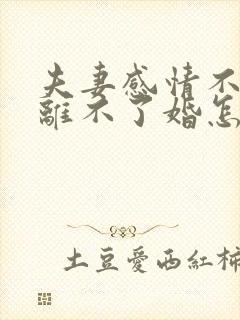 夫妻感情不好又离不了婚怎么办