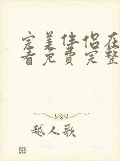 完美伴侣在线观看免费完整版